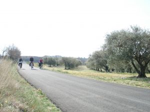 ventoux velo